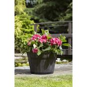 Whisky Barrel Planter - Small
