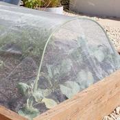 Anti-insect Mesh | 4m x 2m | 7030076