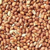 Woodland Peanuts 1kg
