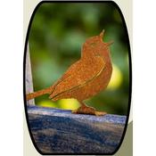 Singing Wren | R105
