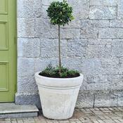 Community Garden Pot image