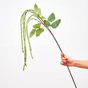 Green Bean Spray - Set of 6

heart