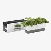 Triple Self-Watering Herb Keeper

heart image