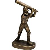 Cricket