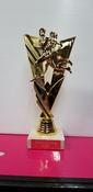 Running  trophy image
