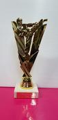 Karate trophy image
