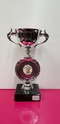 Silver/blue cup trophy image