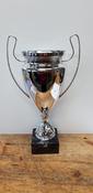 Champions cups image