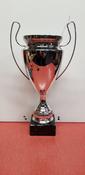 Champions  cup image