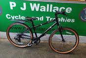 24" Raleigh image