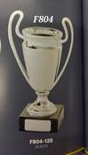F804 silver cup