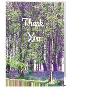 Thank you card - Bluebells Union Wood image