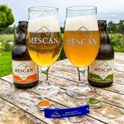 Mescan Glass image