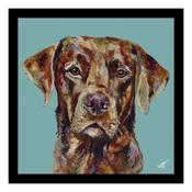 <strong>ARTKO</strong> Red Fox Lab Small 43.5cm x 43.5cm Picture By Louise Luton Balck Frame