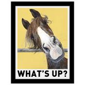 <strong>ARTKO</strong> What's Up 33.5cm x 43.5cm Picture By Julia Pankhurst Black Frame