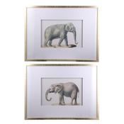<strong>MINDY BROWNES</strong> Elephant 80cm x 60cm Pictures Light Gold Frame (Set Of 2)