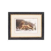 <strong>MINDY BROWNES</strong> Lion 46cm x 36cm Picture Black Frame