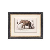 <strong>MINDY BROWNES</strong> Elephant 46cm x 36cm Picture Black Frame