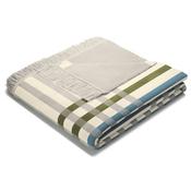 <strong>BIEDERLACK</strong> Picnic Check Throw 140cm x 180cm Green image