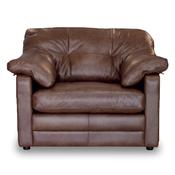 <strong></strong> Bailey Lounge Armchair Byron Leather Tumbleweed image