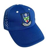 Monaghan Gaa Cap - Grey