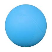 Uncoated Foam Ball 16Cm - Blue