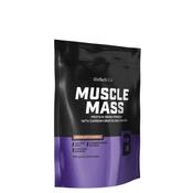Biotechusa Muscle Mass 1000G | Chocolate - One