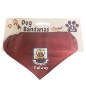Galway Dog Bandana - Maroon - S