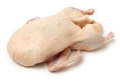 Free Range Geese  Large Oven Ready (Price shown booking deposit only)
