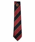 CSN Snr Tie (6th Year) image