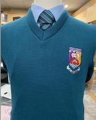 Castletroy College Jumper
