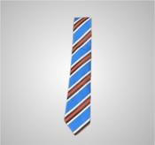 Colaiste Chiarain Croom Senior Tie image