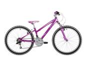 Cuda Kinetic 24" image