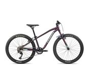 Orbea Mx24 Dirt image