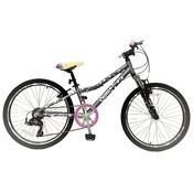 De Nova Dotti 24"
