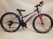 Umit Lavida 26" Ladies Mtb image