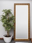Faithlegg Dressing Mirror | Antique Gold — MIRRORS.IE image