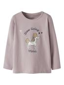 NMFROGINAJA LS TOP BOX