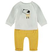 160009 LITTLE DOG 2 PCE
