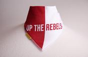 Cork GAA DribbleBoo bandana bib