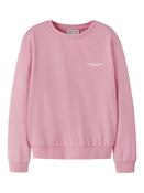 NKFHARMONIA LS NREG SWEAT BOX UNB