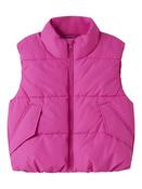 NKFMOLE VEST PB1 FR image