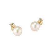 9kt Yellow Gold 7mm Round Pearl Stud Earrings