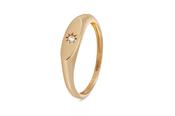 9kt Gold Single Diamond Signet Ring image
