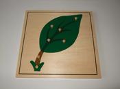 Leaf puzzle image
