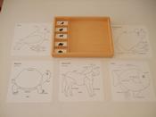 Animal activity set