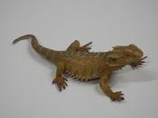Bearded dragon                    L 13  H 4 cm