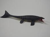 Mosasaurs                                   L 28  H 5.5 cm