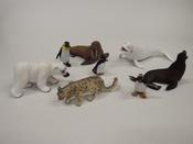 Polar                        collection