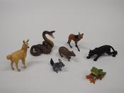South America       collection